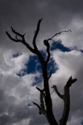 Cloudy Day, photography by Michelle Thompson, Macedon Ranges, Victoria